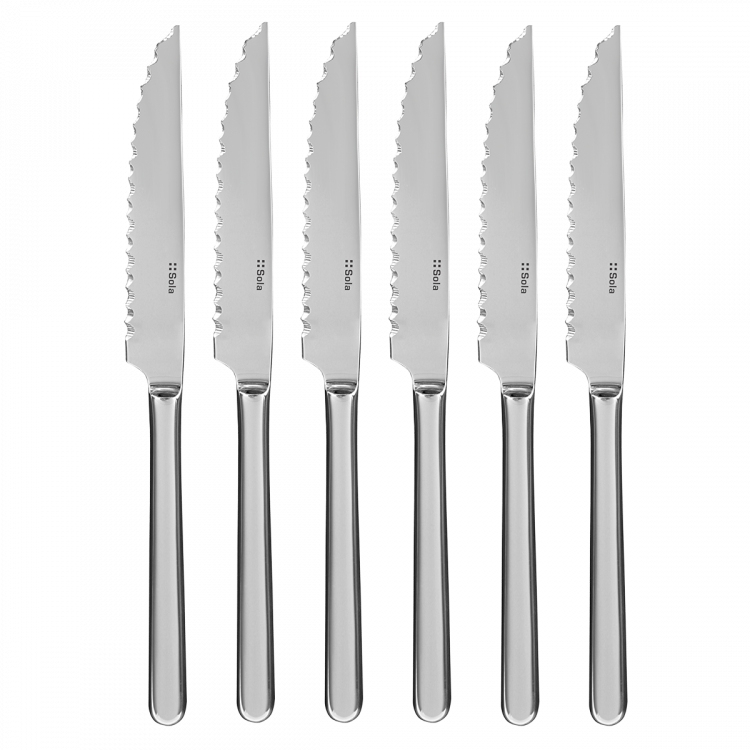 6 darab steak kés ezüst magnetes dobozban - Como